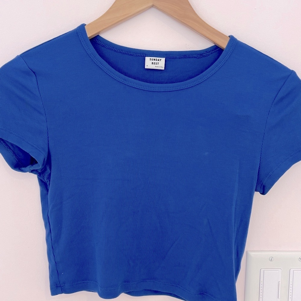 Aritzia Ribbed Tee- great condition!!